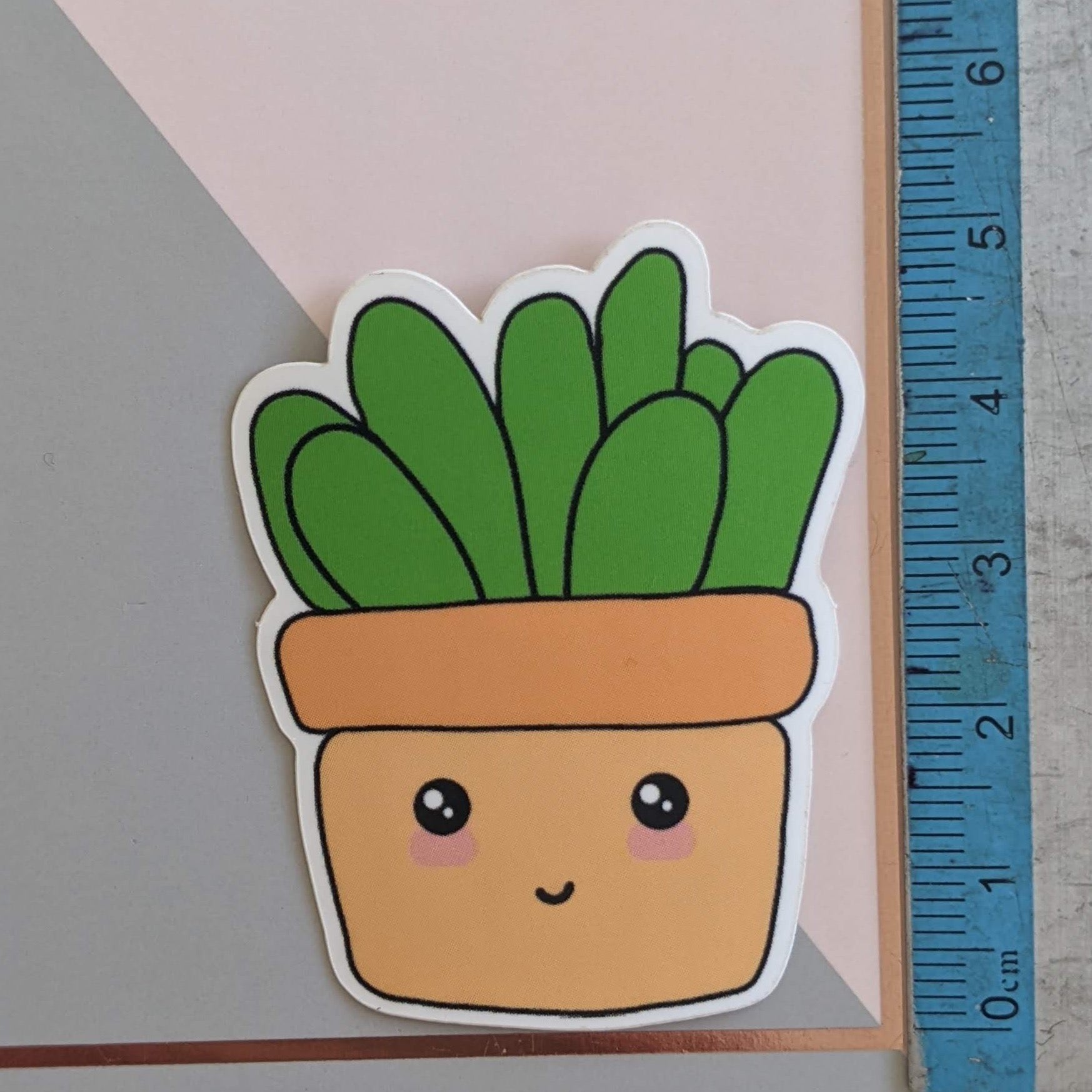 A close up of the plant sticker with a ruler showing the scale of 5cm tall.